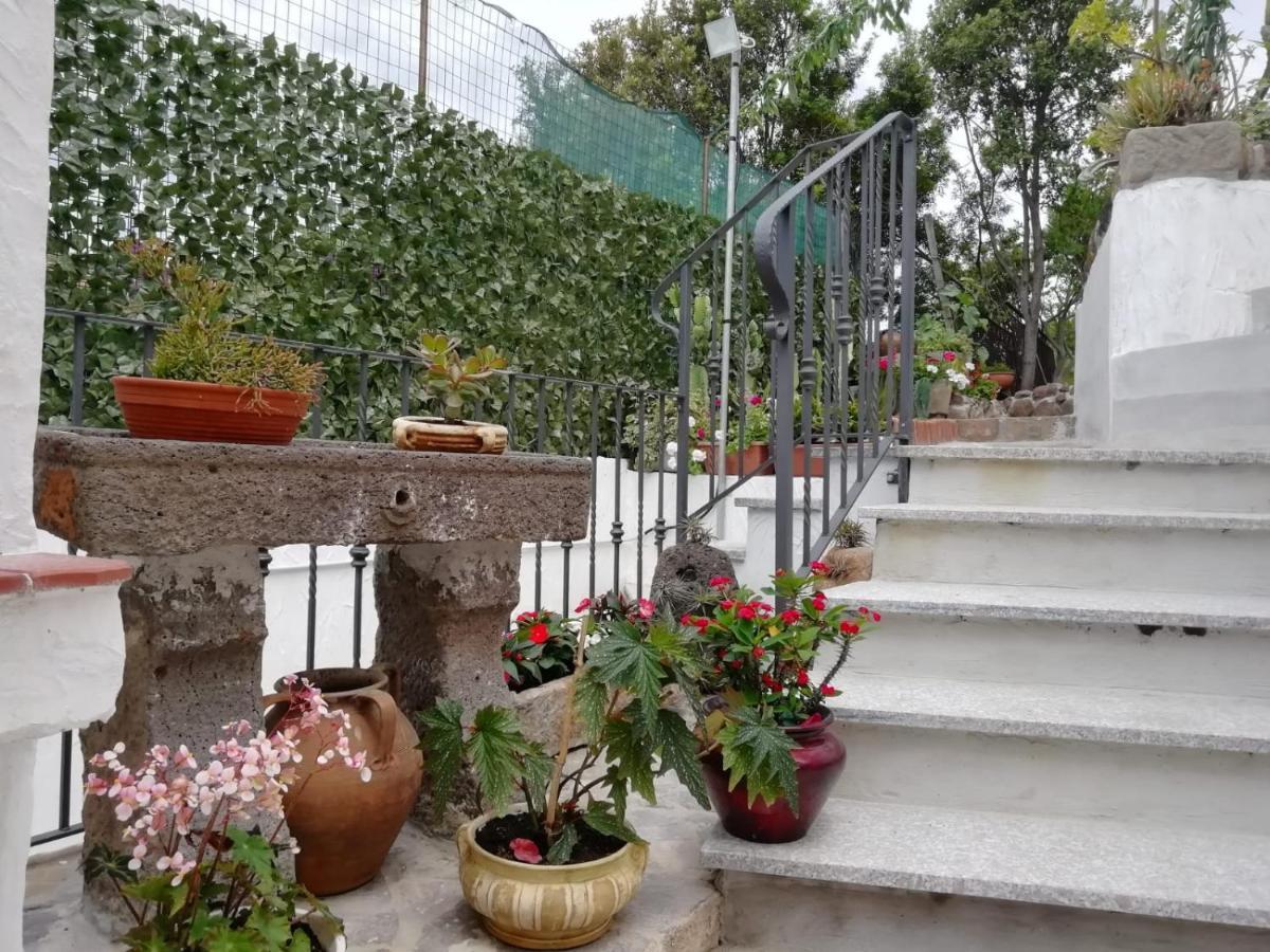 Appartamento Bouganville Magomadas Exterior foto